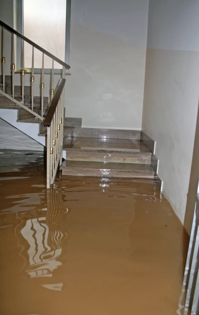 Water Damage Restoration - Fair Duct's Expert Cleanup Services