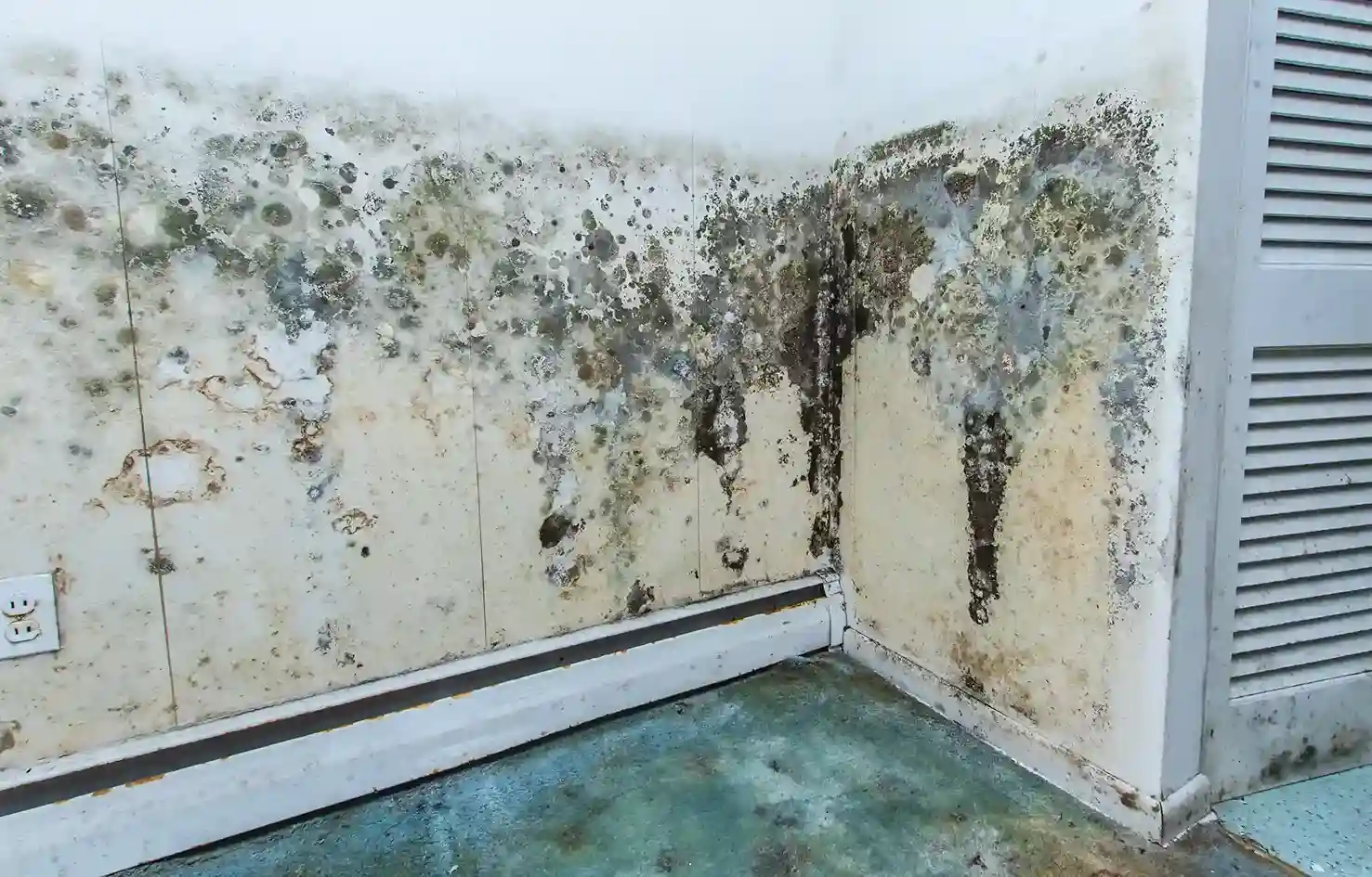 Preventing Mold Growth After Water Damage