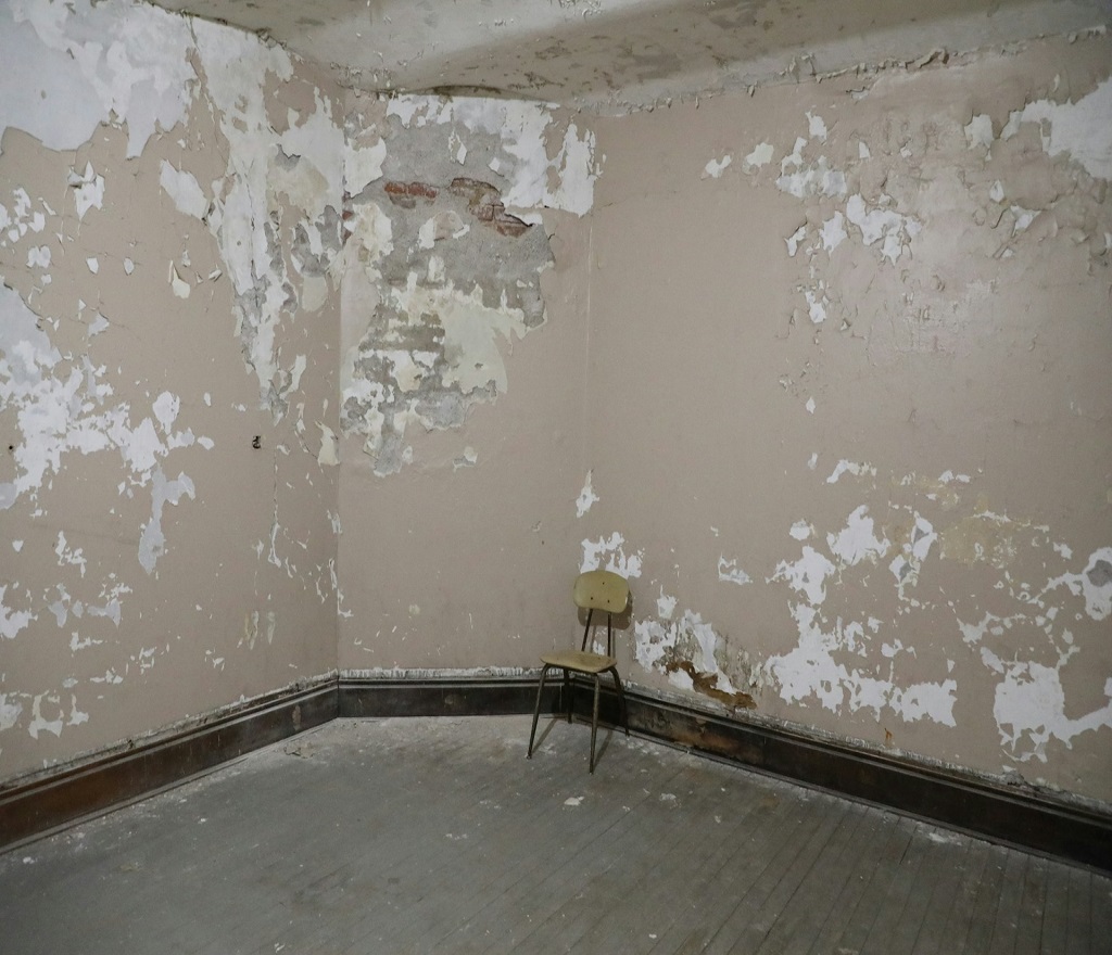 Combating Mold in the Basement: Addressing Moisture Issues